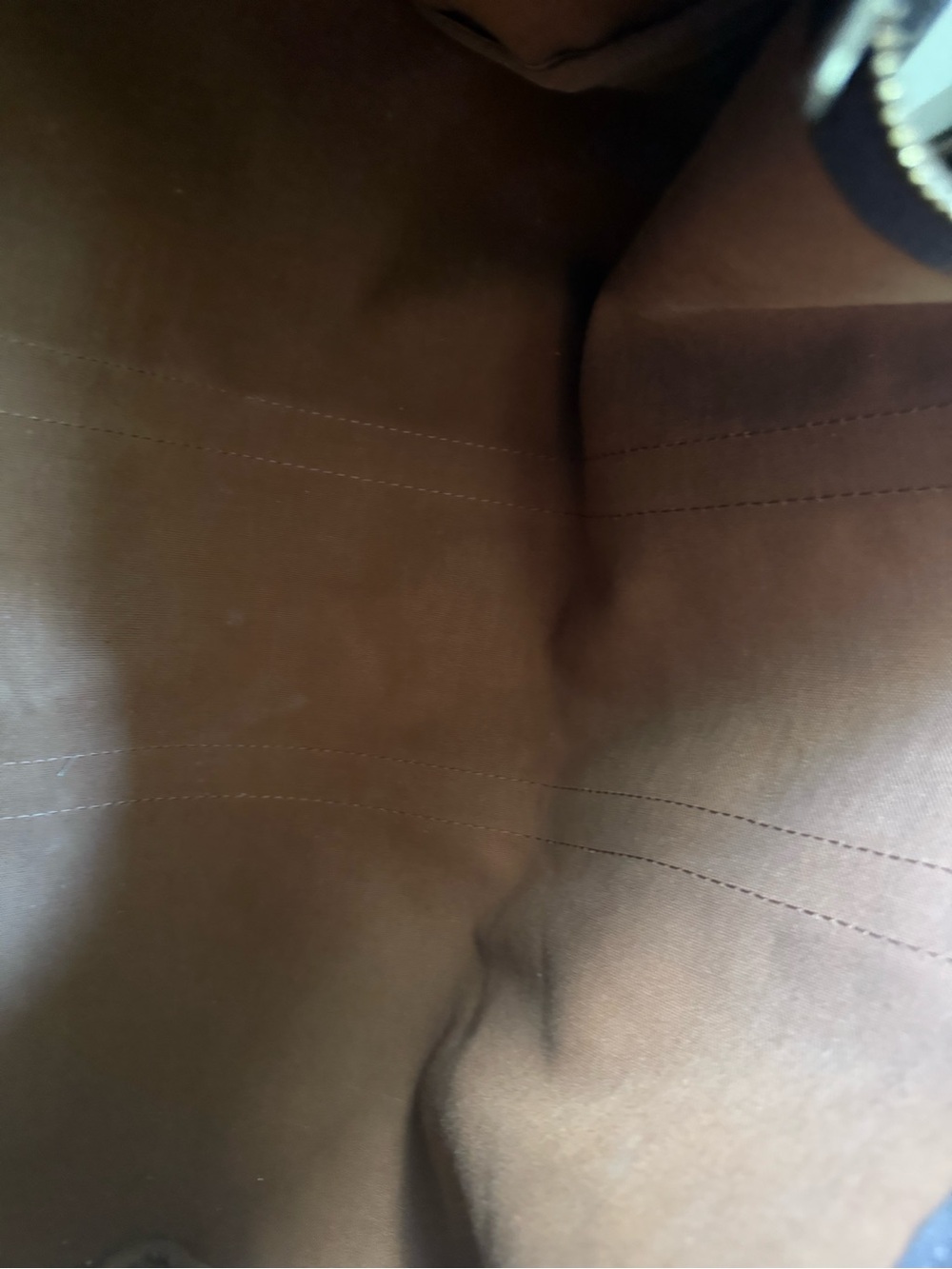 Louis Vuitton Brown Monogram Travel Tote with Natural Leather Trim - Picture 6 of 14